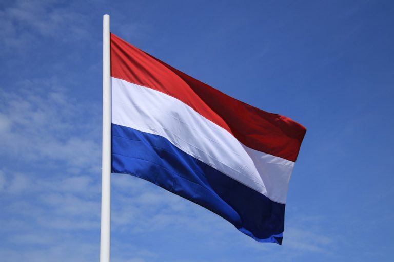 Niewiarygodne! Holenderska “partia pedofilska” reaktywowana z dodatkowymi postulatami