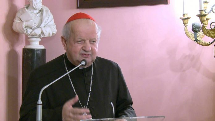 Kardynał Stanisław Dziwisz. Fot. YouTube