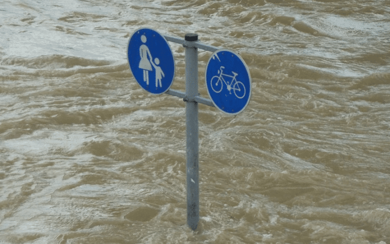 Niemcy dziękują za polski gest solidarności z powodzianami