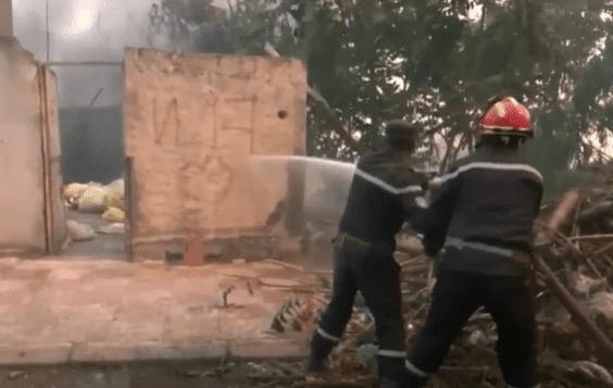 Algieria oskarża syjonistów o wywołanie katastrofalnych pożarów